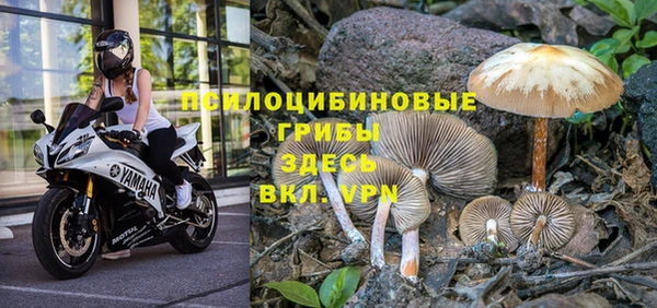 трава Абаза