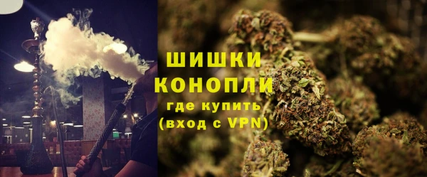 ГАЛЛЮЦИНОГЕННЫЕ ГРИБЫ Алзамай