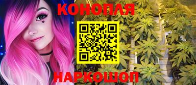 сатива Кимры