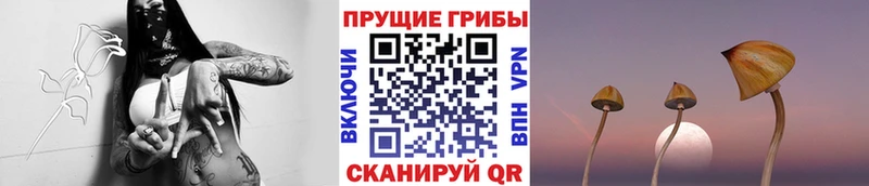 Галлюциногенные грибы ЛСД как найти закладки Казань