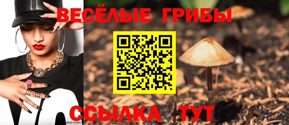 Казань  Псилоцибиновые грибы MAGIC MUSHROOMS  Вход с VPN 